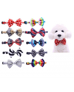 Cozymo Assorted Bowtie with Adjustable Collar Daily, 50 Pack