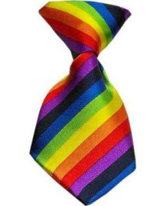 Cozymo Small Neck Tie Rainbow (25 Pack)