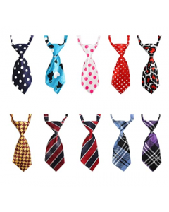 Cozymo Large Neck Tie Daily Assorted, 25 Pack