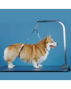 ProGuard No-Sit Haunch Holder, Regular