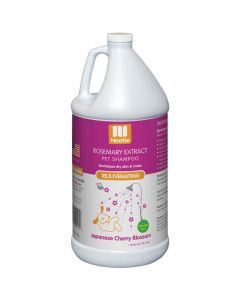 Nootie Rejuvenating Shampoo Japanese Cherry Blossom, 1 Gallon