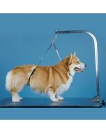 ProGuard No-Sit Haunch Holder, Giant