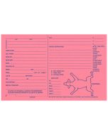 Barkleigh Giant Klip Kards PInk, 100 Pack