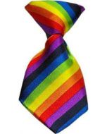 Cozymo Small Neck Tie Rainbow (25 Pack)