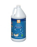 Nootie Whitening Shampoo Sweet Pea & Vanilla, 1 Gallon